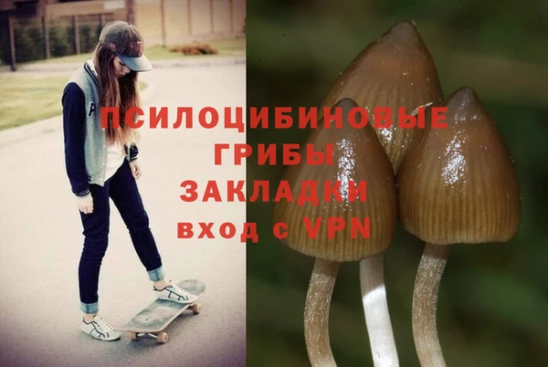 соль ск Алексеевка