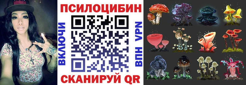 Псилоцибиновые грибы Psilocybine cubensis купить закладку Яровое